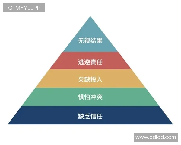深圳羽毛球队在世界锦标赛中的团队协作表现分析与点评 深圳羽毛球队在世界锦标赛中的团队协作表现分析与点评
