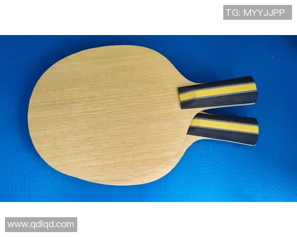 乒乓球装备选购：训练器材推荐