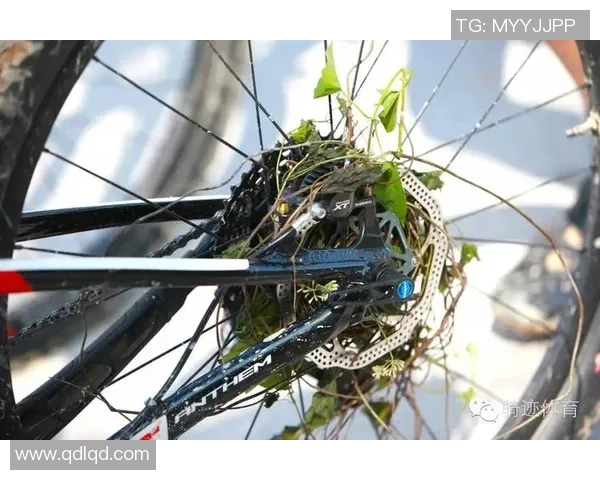 赛后复盘：深圳极限运动队 vs 广州极限运动队的实力