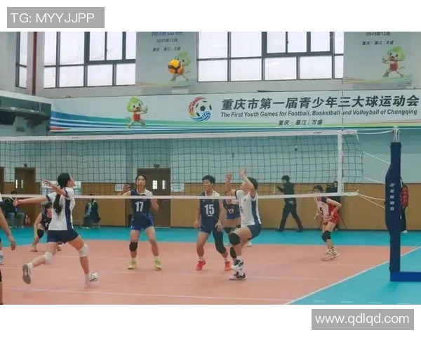 热议排球:重庆排球队的技术变革 热议排球:重庆排球队的技术变革