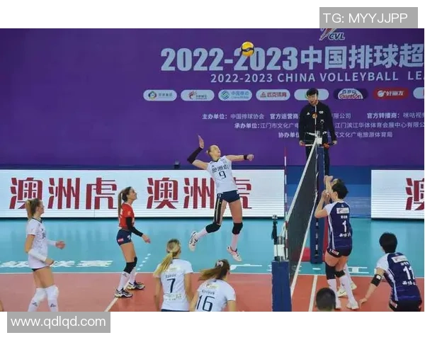 排球专题:聚焦深圳排球队的力量 排球专题:聚焦深圳排球队的力量