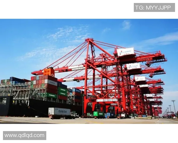 重磅专题：杭州羽毛球队的快攻革新